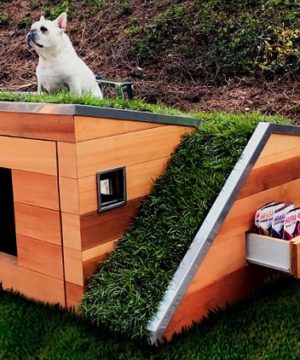 Как построить будку для собаки своими